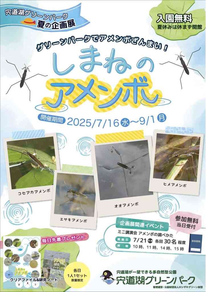 島根県出雲市のイベント「宍道湖グリーンパーク　夏の企画展　｢しまねのアメンボ」」のチラシ
