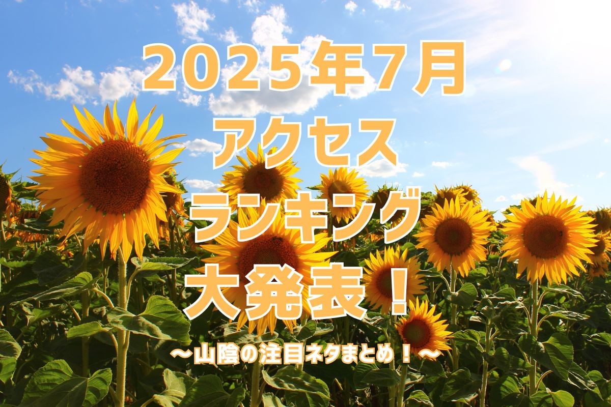 アクセスランキングのイメージ写真