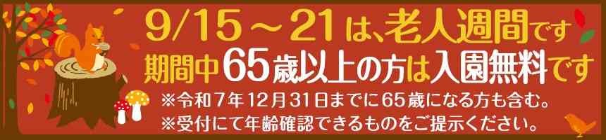 島根県出雲市のイベント「65歳以上入園無料期間」のチラシ