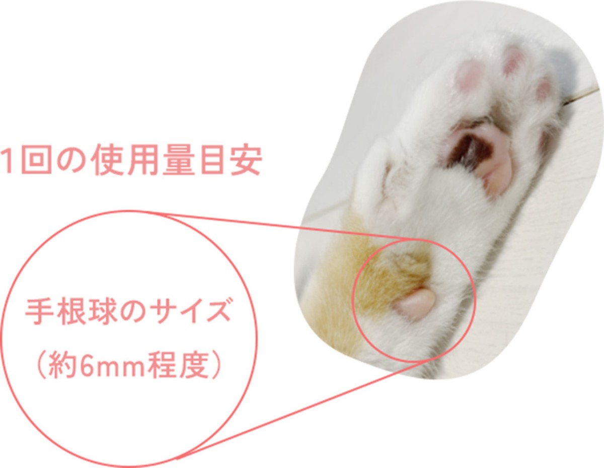 島根県松江市の『有限会社小西本店』の新商品「にゃんもにゃにゃ オールインニャンクリーム」のイメージ