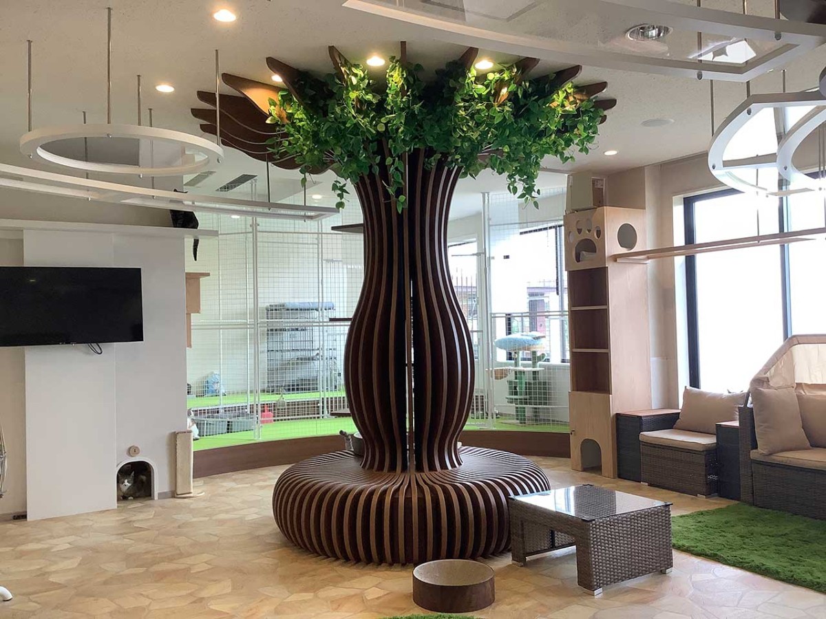 島根県松江市にオープンした『猫猫の森』の内観