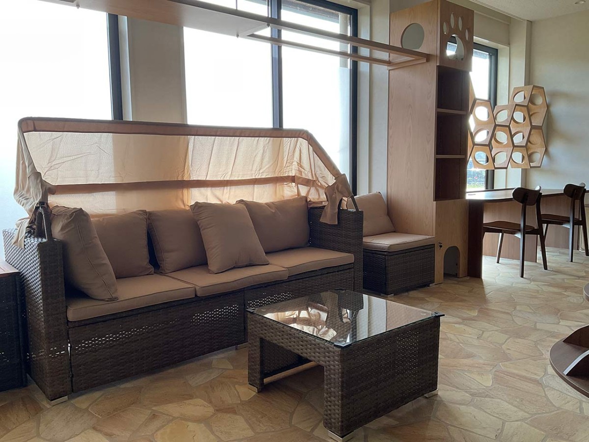 島根県松江市にオープンした『猫猫の森』の内観