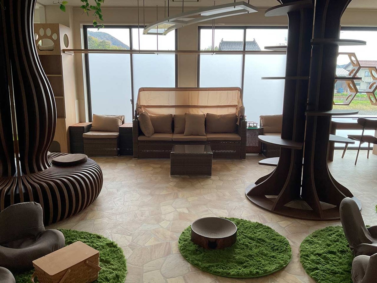 島根県松江市にオープンした『猫猫の森』の内観