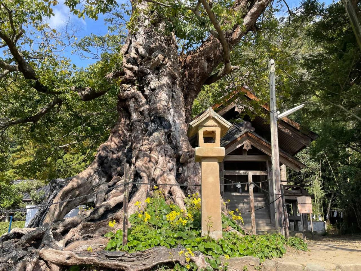 島根県出雲市『いのちぬしのやしろ』