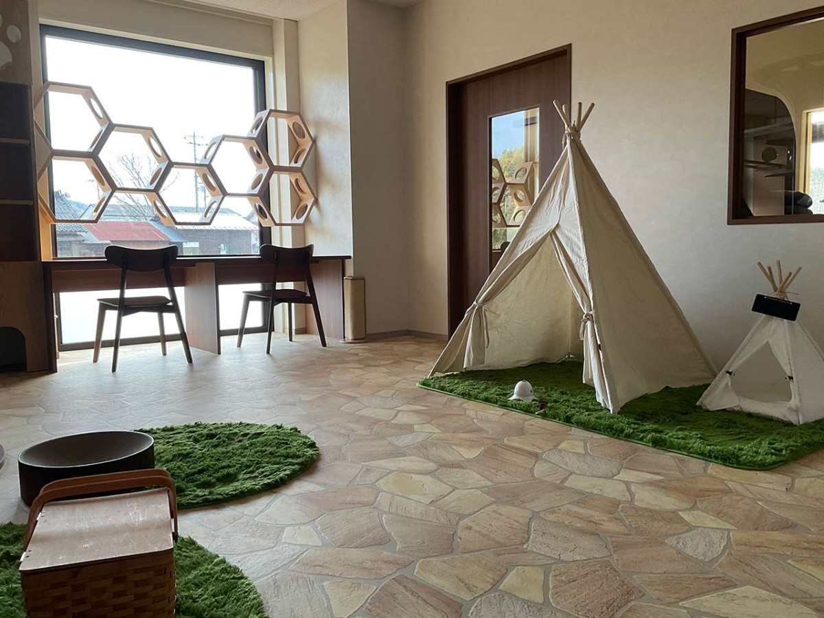 島根県松江市の『猫猫の森』の内観