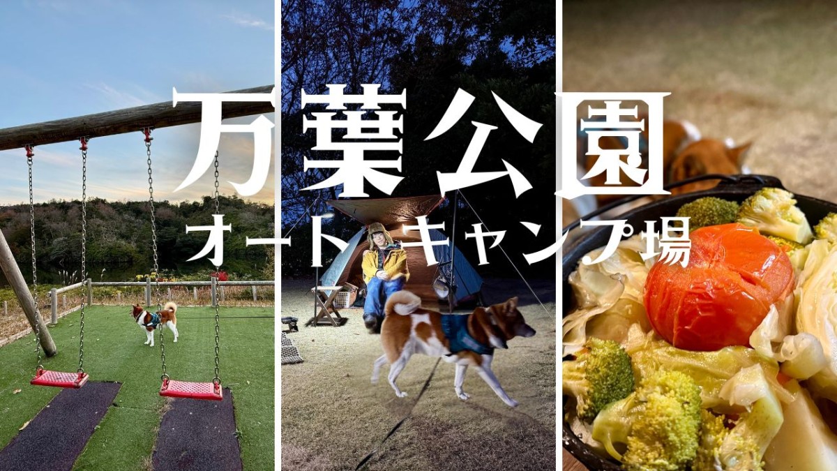 益田市の『万葉公園オートキャンプ場』のイメージ