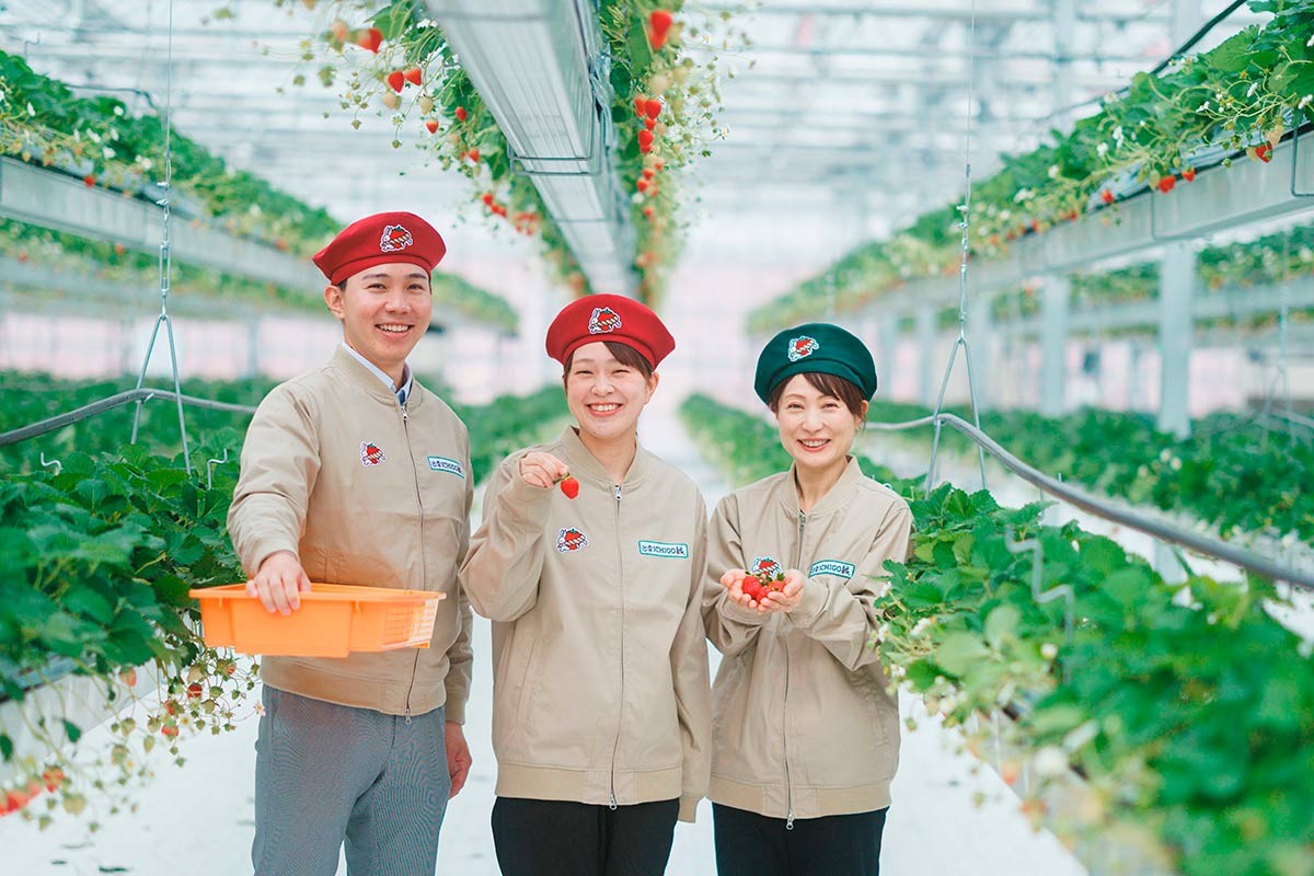 島根県出雲市『出雲ICHIGO縁』のイメージ