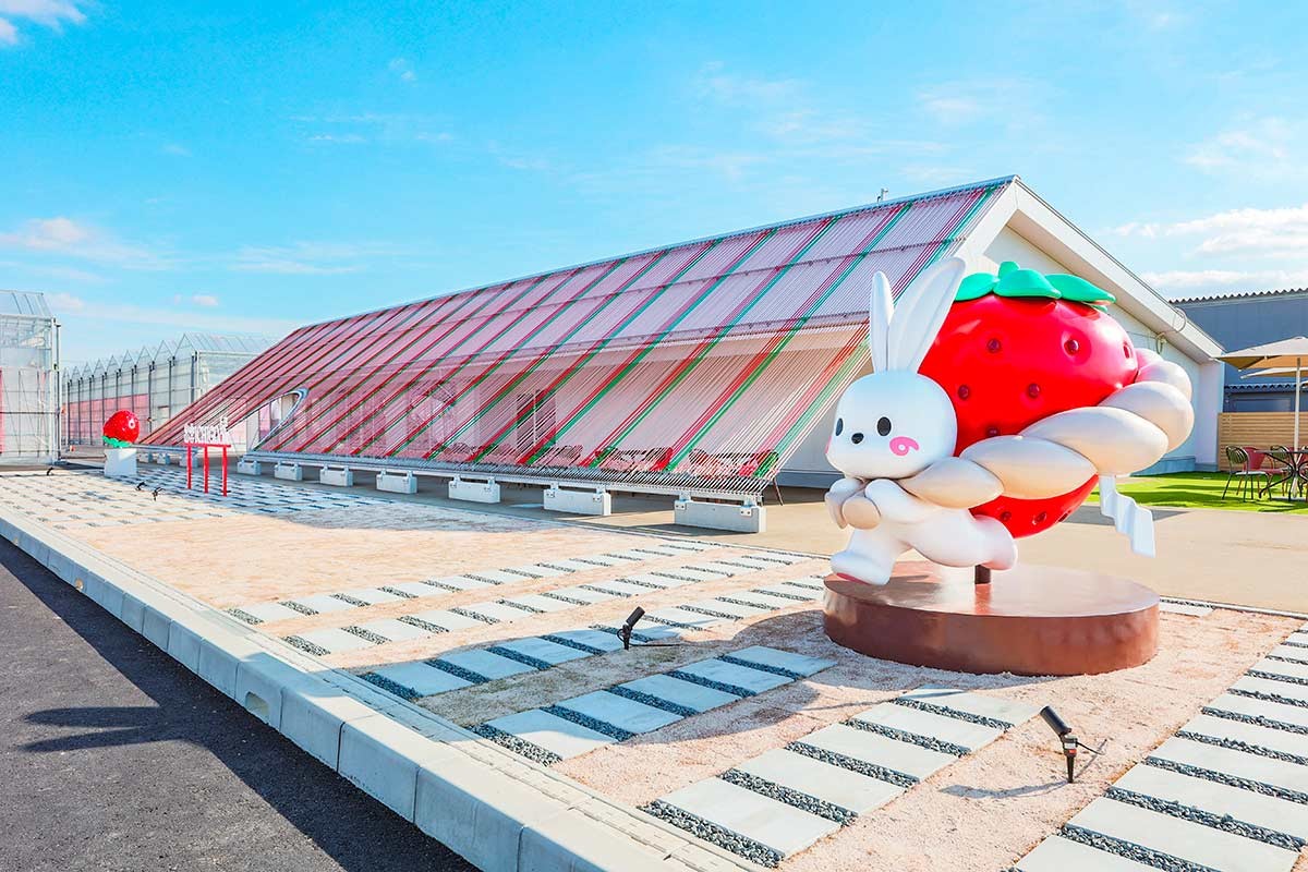 島根県出雲市『出雲ICHIGO縁』のイメージ