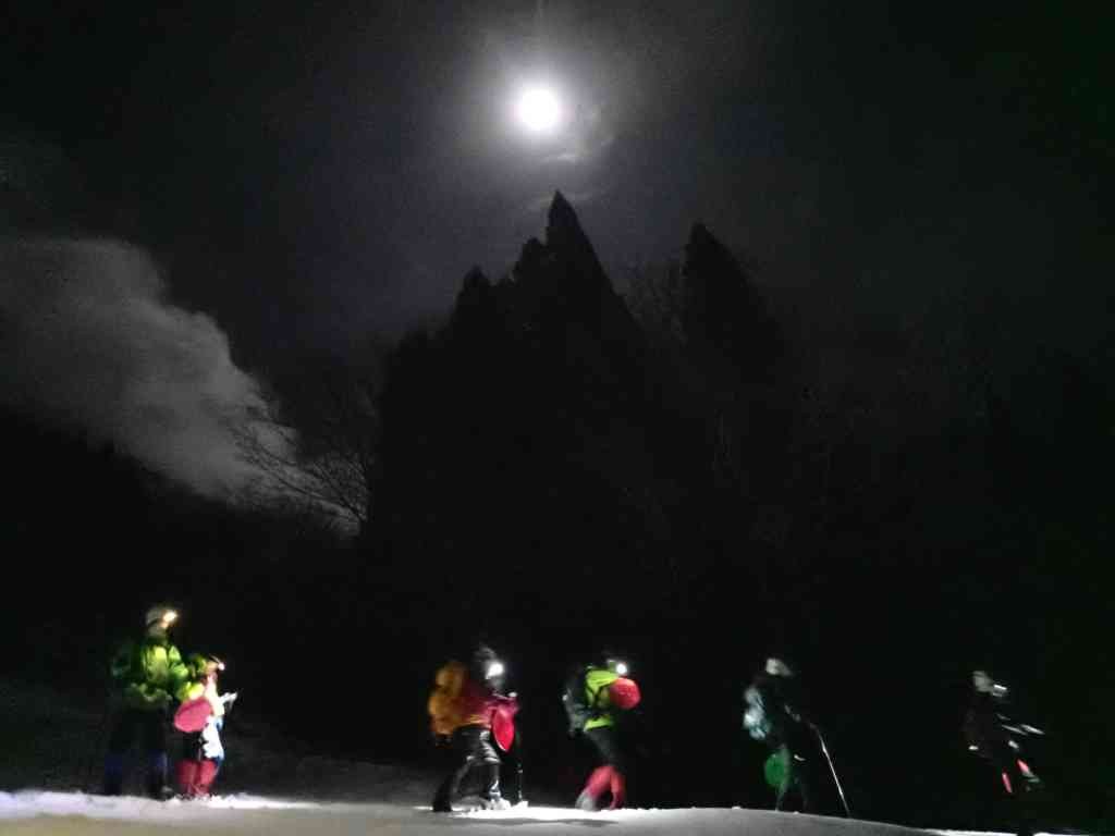 鳥取県八頭郡若桜町のイベント「【要予約】夜の森スノーシューハイク」のイメージ