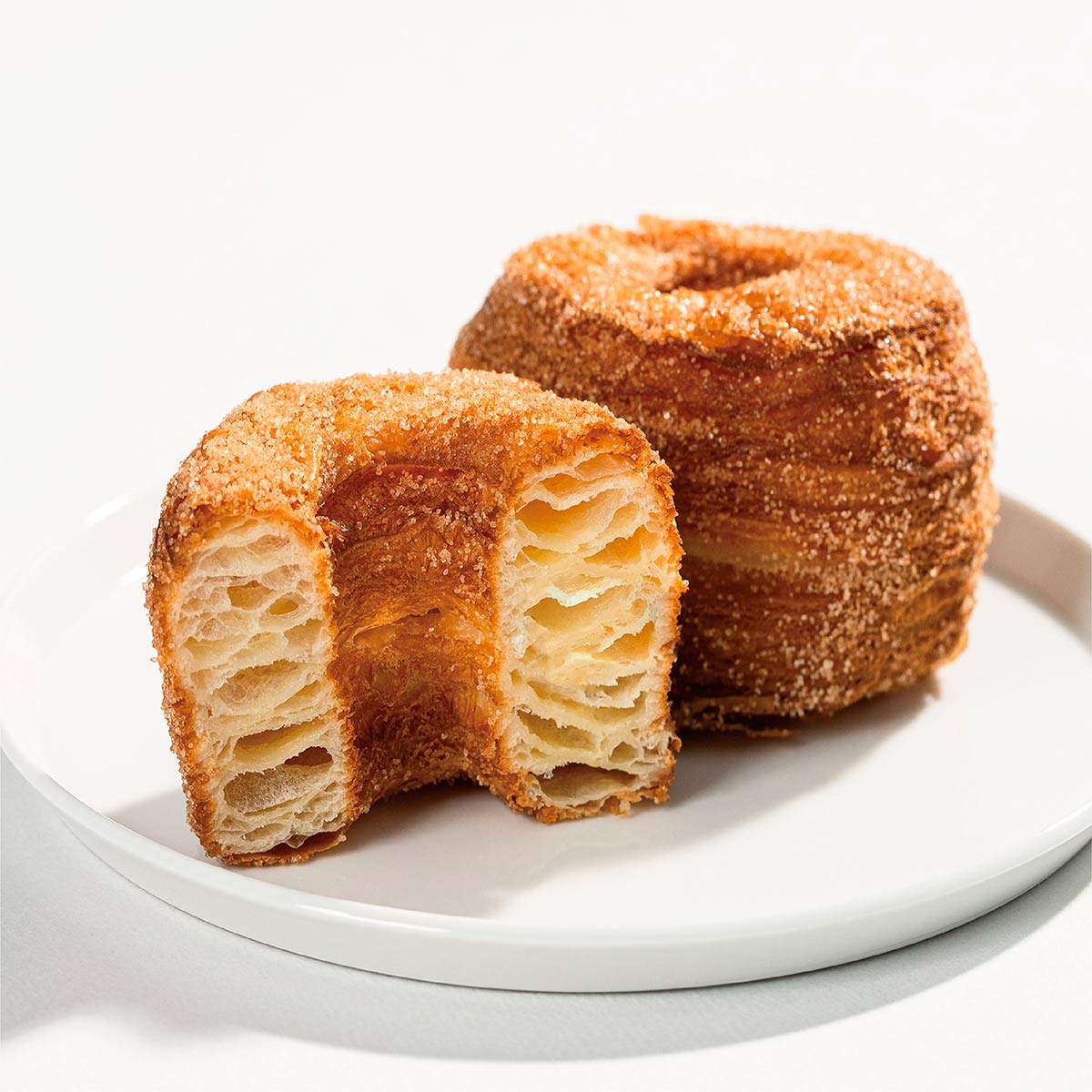 『トリュフドーナツ』のフレーキードーナツシナモンシュガー味