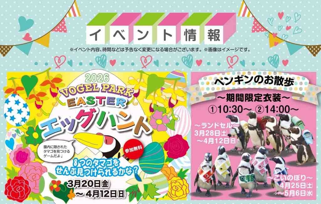 島根県松江市のイベント「2026エッグハント」のチラシ