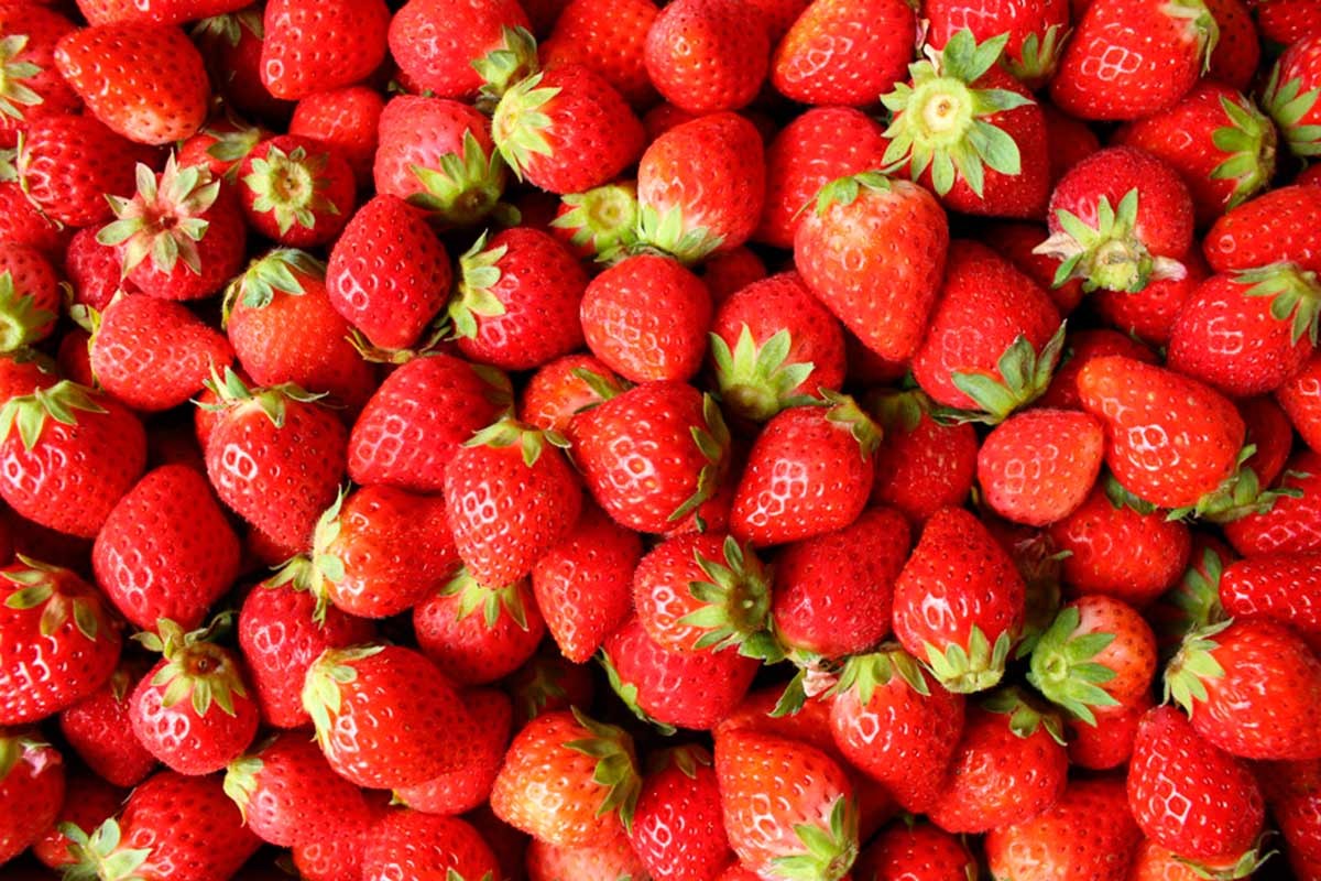 『道の駅ほうじょう』のイベント「春のグルメ＆いちごパーティー」のイメージ