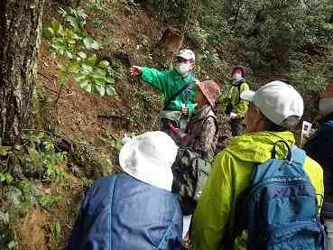 鳥取県倉吉市のイベント「【要予約】自然ウォッチング11「春の打吹山を見よう」」のイメージ
