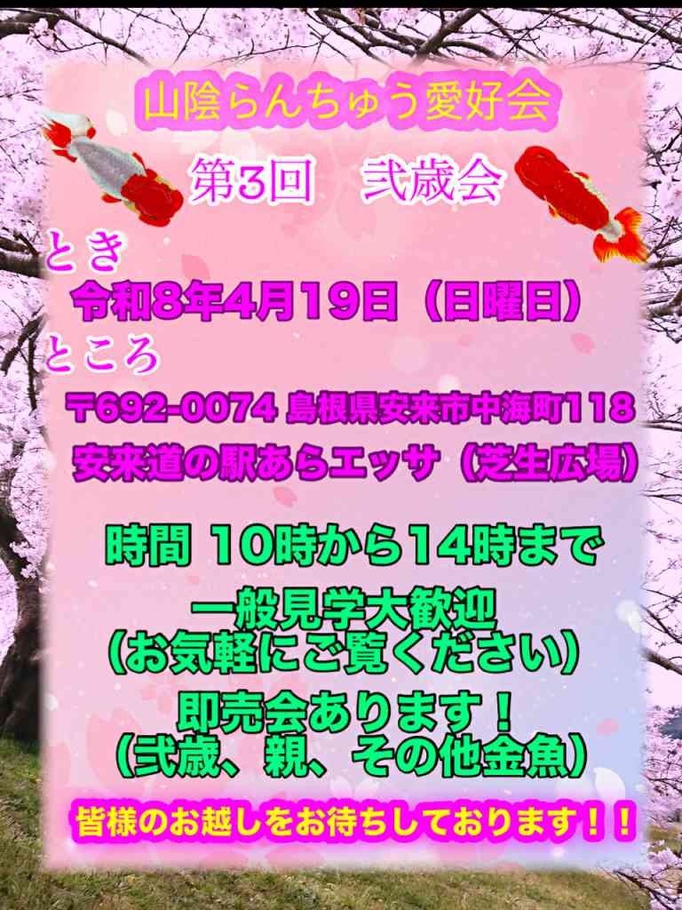 島根県安来市のイベント「山陰らんちゅう愛好会　第３回弐歳魚品評会」のチラシ