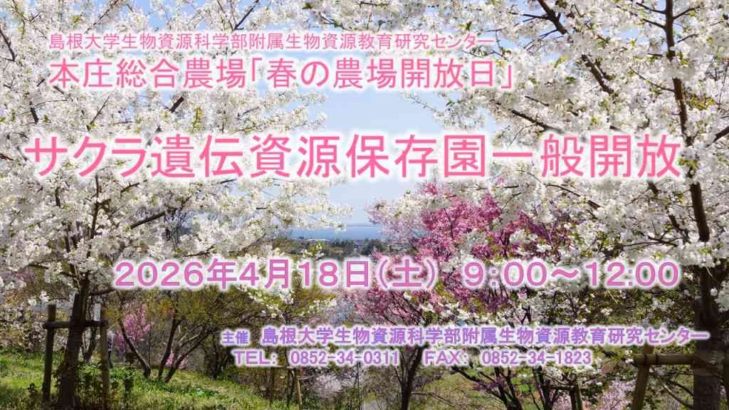 島根県松江市のイベント「島根大学本庄総合農場「春の農場開放日」～サクラ遺伝資源保存園一般開放～」のチラシ