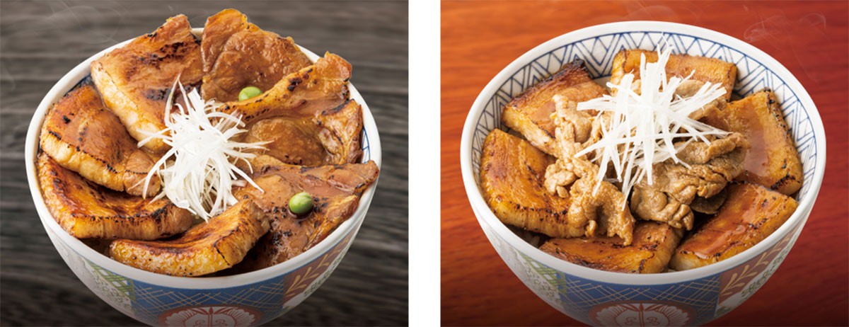 鳥取県米子市の『元祖豚丼屋TONTON 米子店』のイメージ