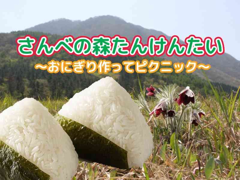 島根県大田市のイベント「【要予約】さんべの森たんけんたい　～おにぎり作ってピクニック～」のチラシ