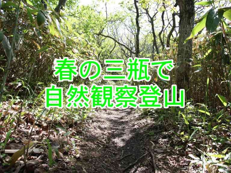 島根県大田市のイベント「【要予約】春の三瓶で自然観察登山（島根県大田市）の開催情報」のイメージ
