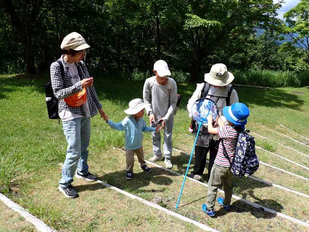 鳥取県八頭郡若桜町のイベント「【要予約】森のようちえん＋「葉っぱも虫も元気な夏の氷ノ山で遊ぼう！」」のイメージ