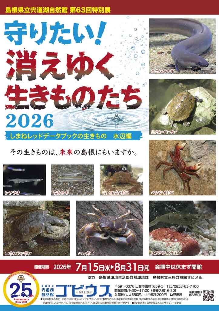 島根県出雲市のイベント「第63回特別展｢守りたい!消えゆく生きものたち2026〜しまねレッドデータブックの生きもの 水辺編｣」のチラシ