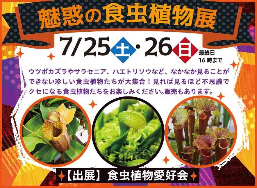 島根県出雲市のイベント「魅惑の食虫植物展」のチラシ