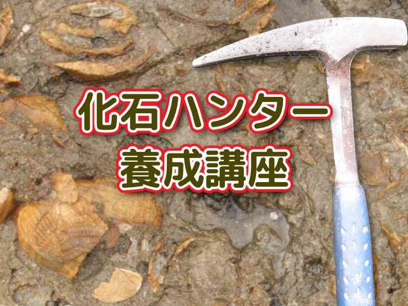 島根県大田市のイベント「【要予約】化石ハンター養成講座」のイメージ
