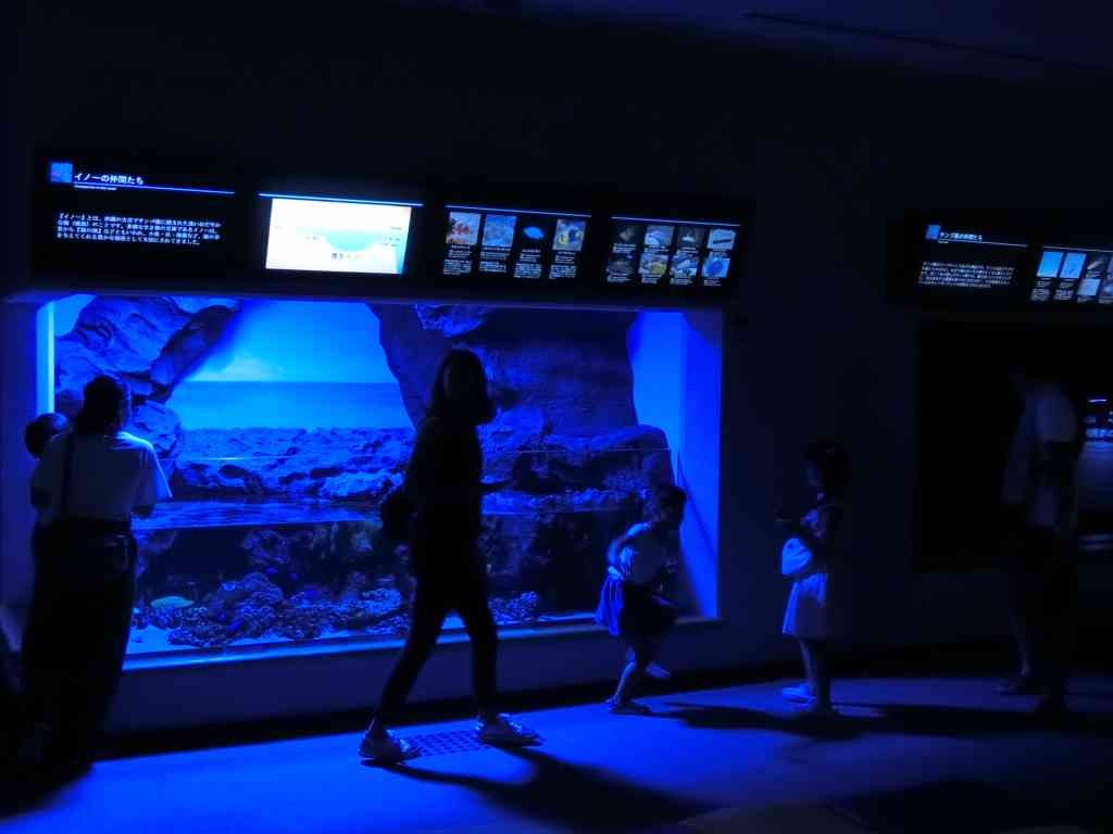 島根県浜田市のイベント「夜の水族館「ナイトアクアス2026」」のイメージ