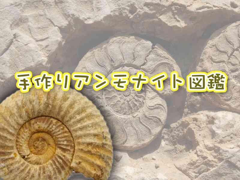 島根県大田市のイベント「 【要予約】手作りアンモナイト図鑑」のイメージ