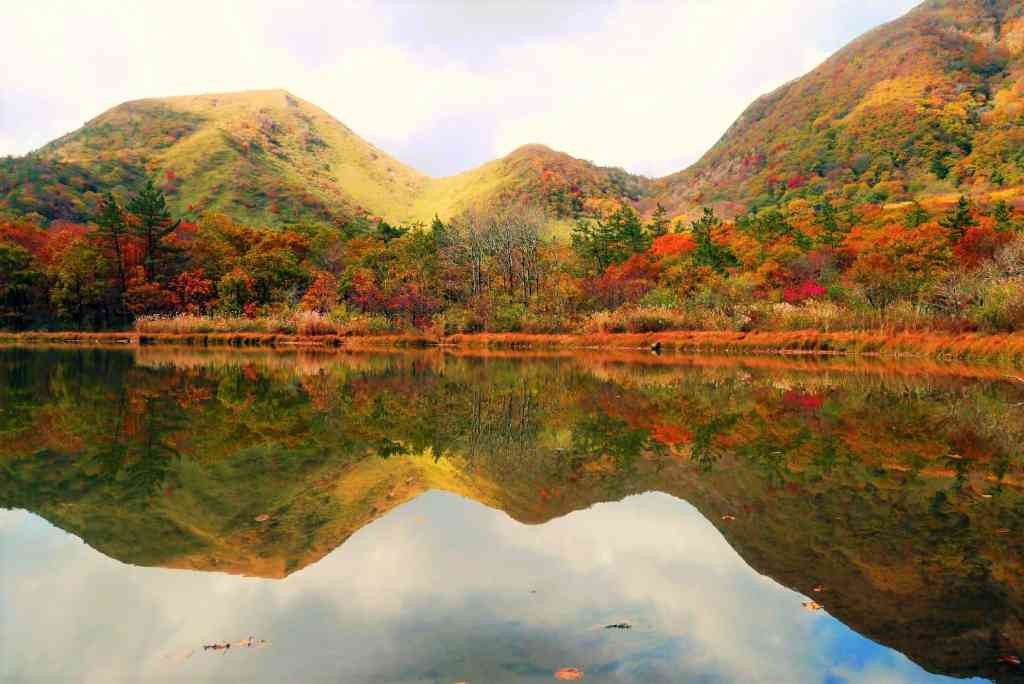 島根県大田市のイベント「【要予約】紅葉の三瓶で自然観察登山」のイメージ