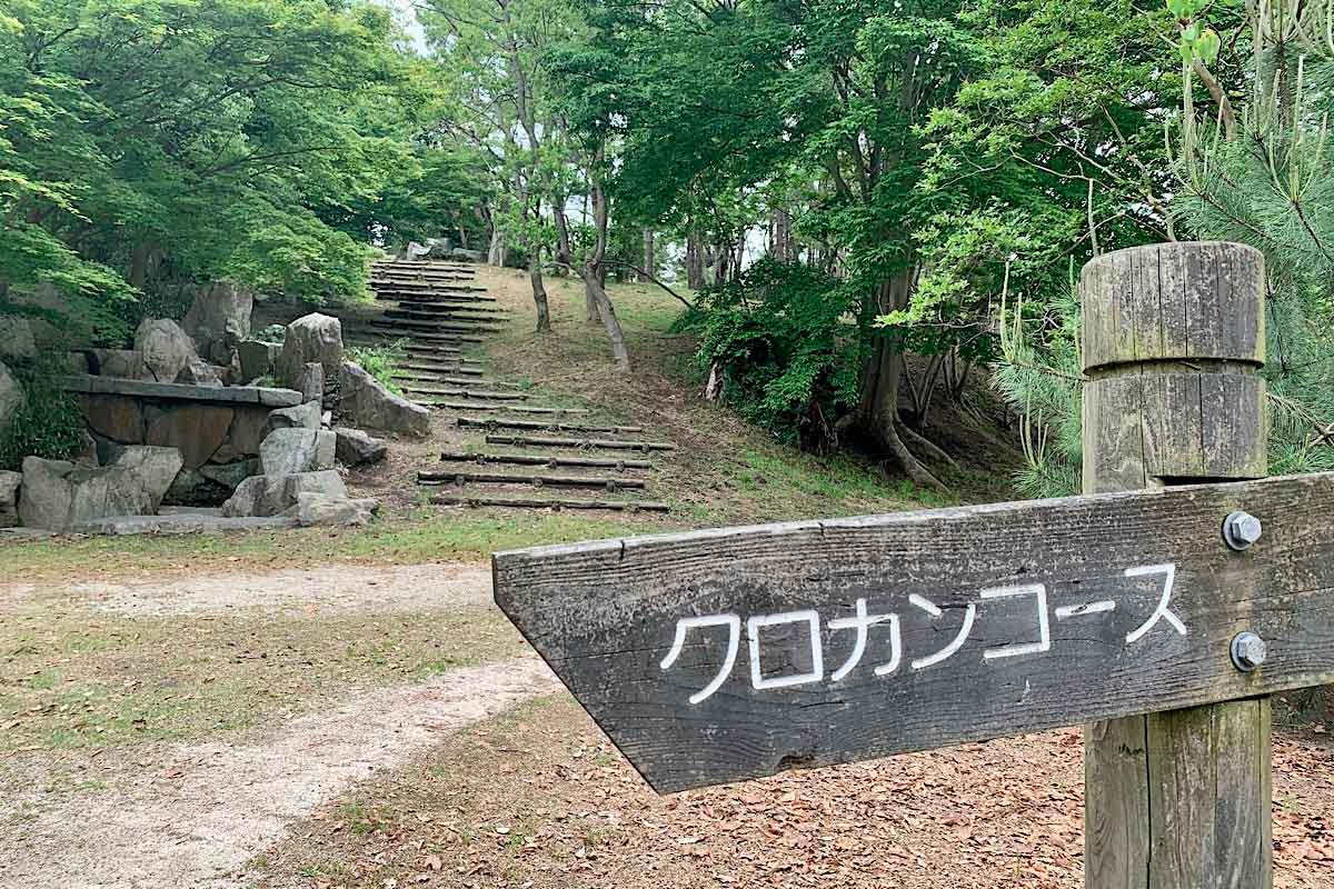 境港市 プチトレッキングにスポーツ観戦も 竜ヶ山公園 の魅力を再発見 公園であそ部 日刊lazuda ラズダ 島根 鳥取を知る 見る 食べる 遊ぶ 暮らすwebマガジン