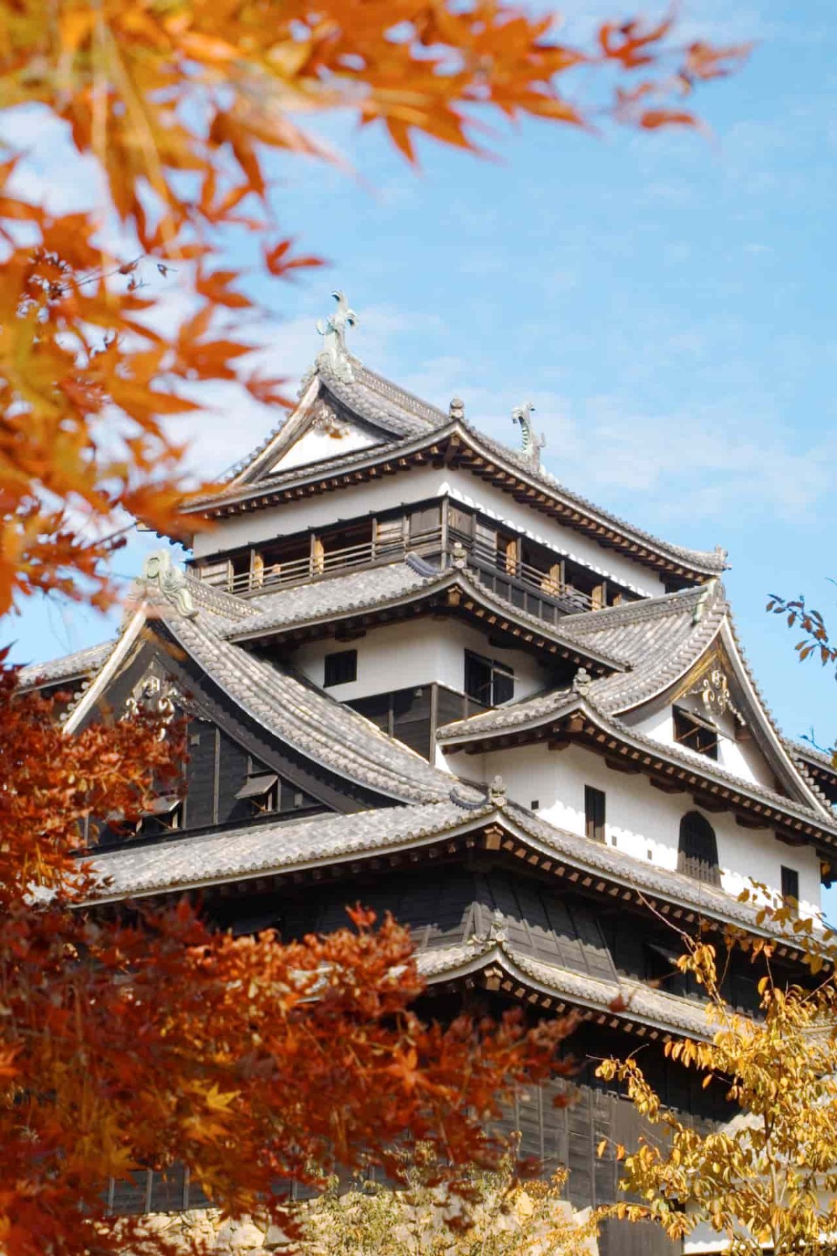 島根県松江市の『松江城山公園』から見える景色_紅葉