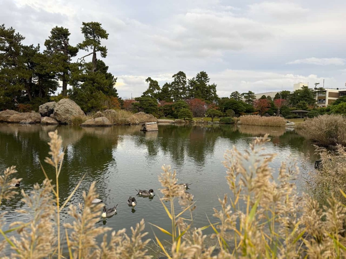 鳥取県米子市にある『湊山公園』の紅葉の様子