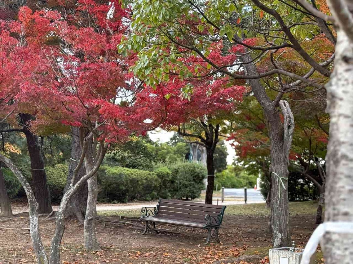 鳥取県米子市にある『湊山公園』の紅葉の様子