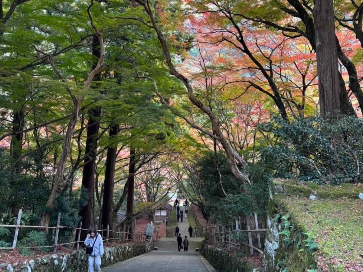 島根県出雲市にある『鰐淵寺』の紅葉