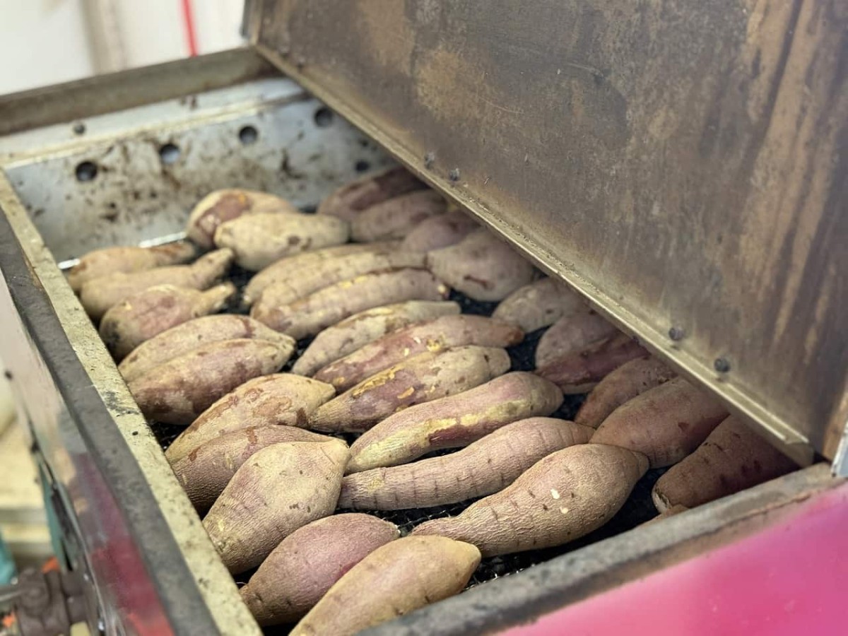 島根県出雲市湖陵町で期間限定オープンしている『どんとこい市場』で販売している「西浜いも」を石焼している様子