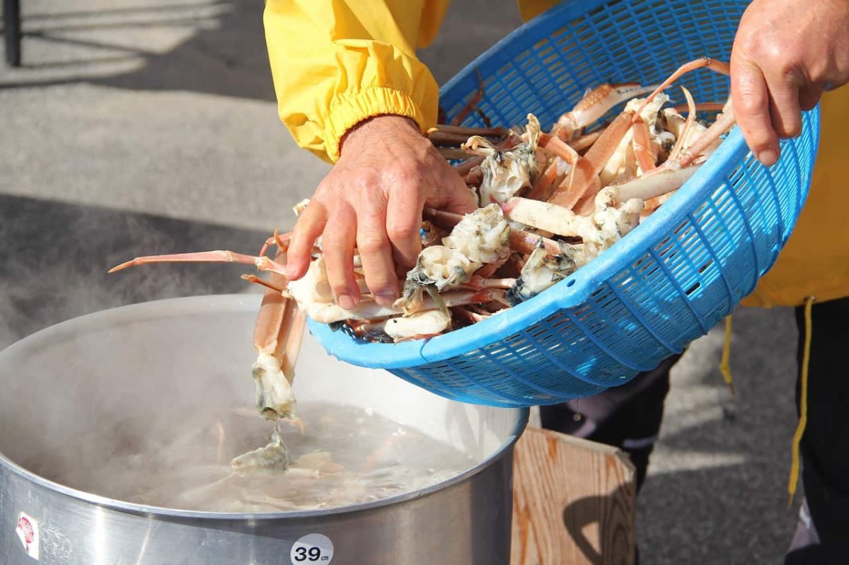島根県隠岐郡で開催された『すいせん祭り』で配布するカニ汁を調理する様子