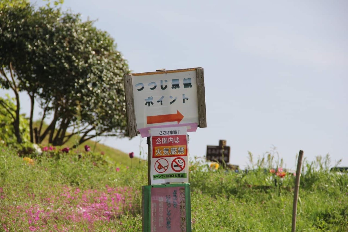 島根県安来市にある『古代出雲王陵の丘』のツツジの景観ポイントへの案内看板
