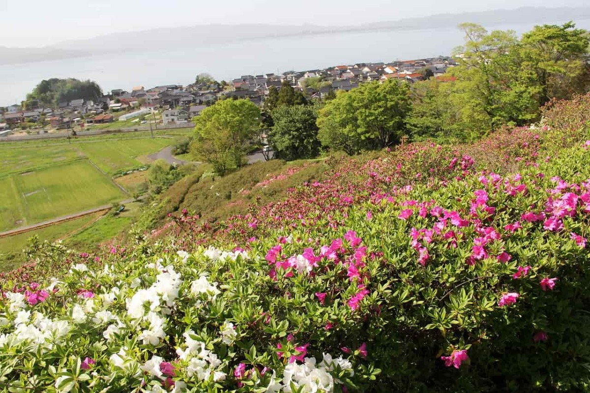 島根県安来市にある『古代出雲王陵の丘』のツツジの景観ポイントから見る景色