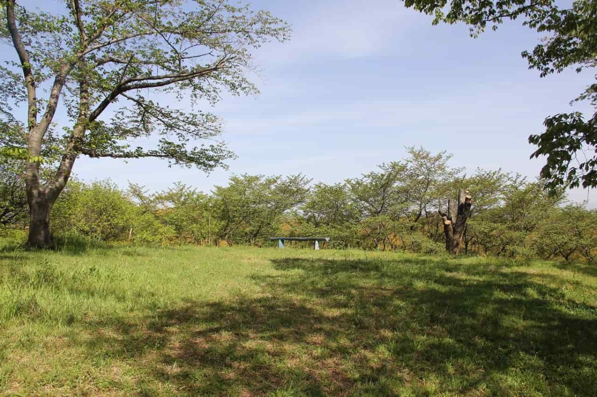 島根県安来市にある『古代出雲王陵の丘』のベンチ
