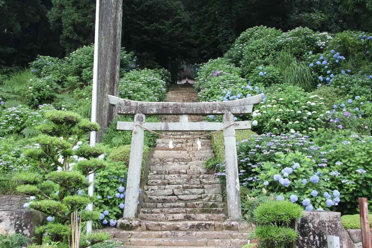 島根県浜田市にある『大麻山神社』の鳥居
