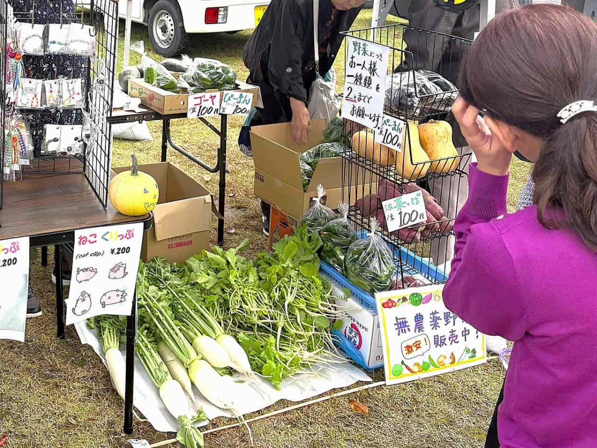 鳥取県米子市にある『おぼれるチーズフェス×がいな日曜市』の日曜市コーナーのイメージ