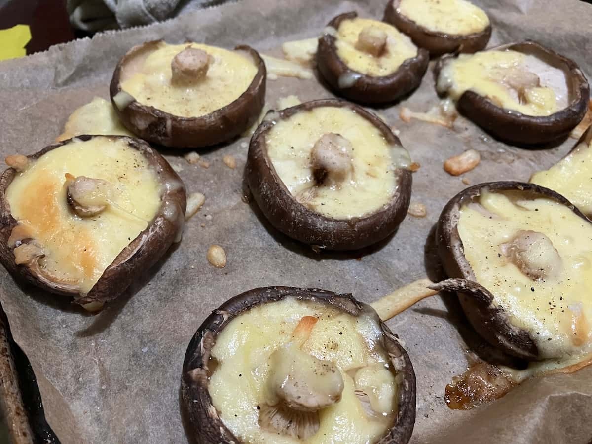 島根県出雲市にある『もっちゃんFARM』のしいたけ