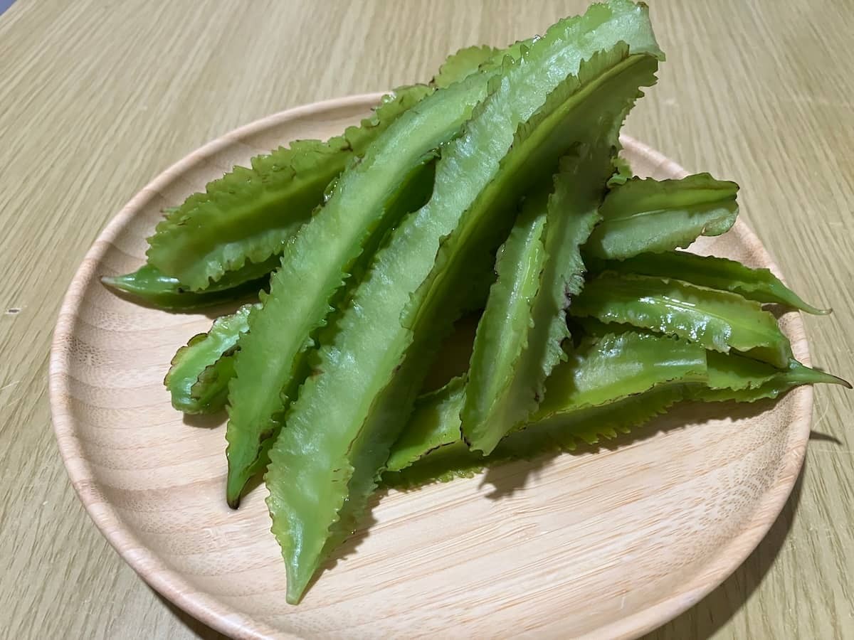 島根県出雲市『SPIRA FARM』で購入した「四角豆」