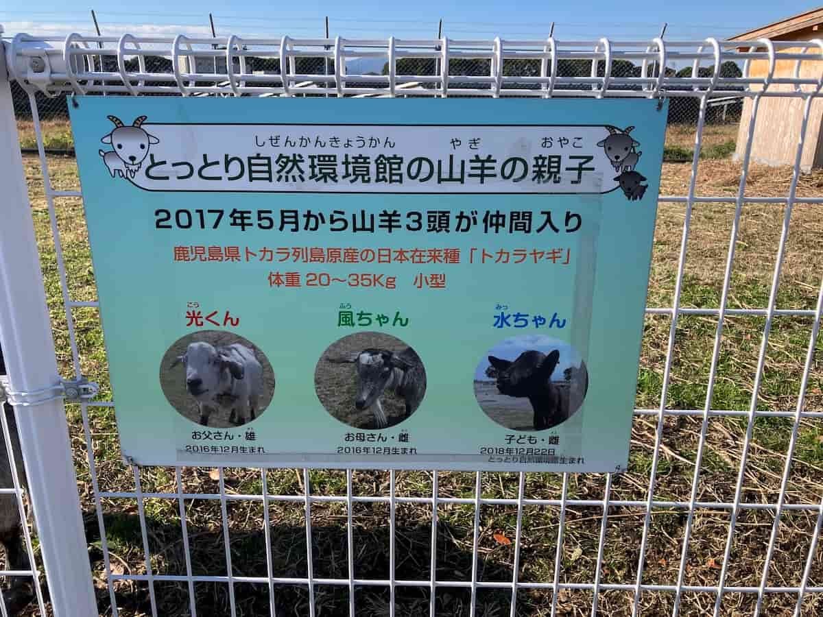 鳥取県米子市『とっとり自然環境館』にいるヤギさんの看板