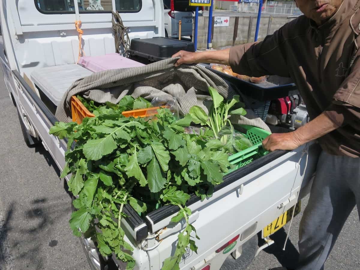 鳥取県境港市にある『さかいみなと銀座市場』の野菜朝市で運ばれてきた野菜