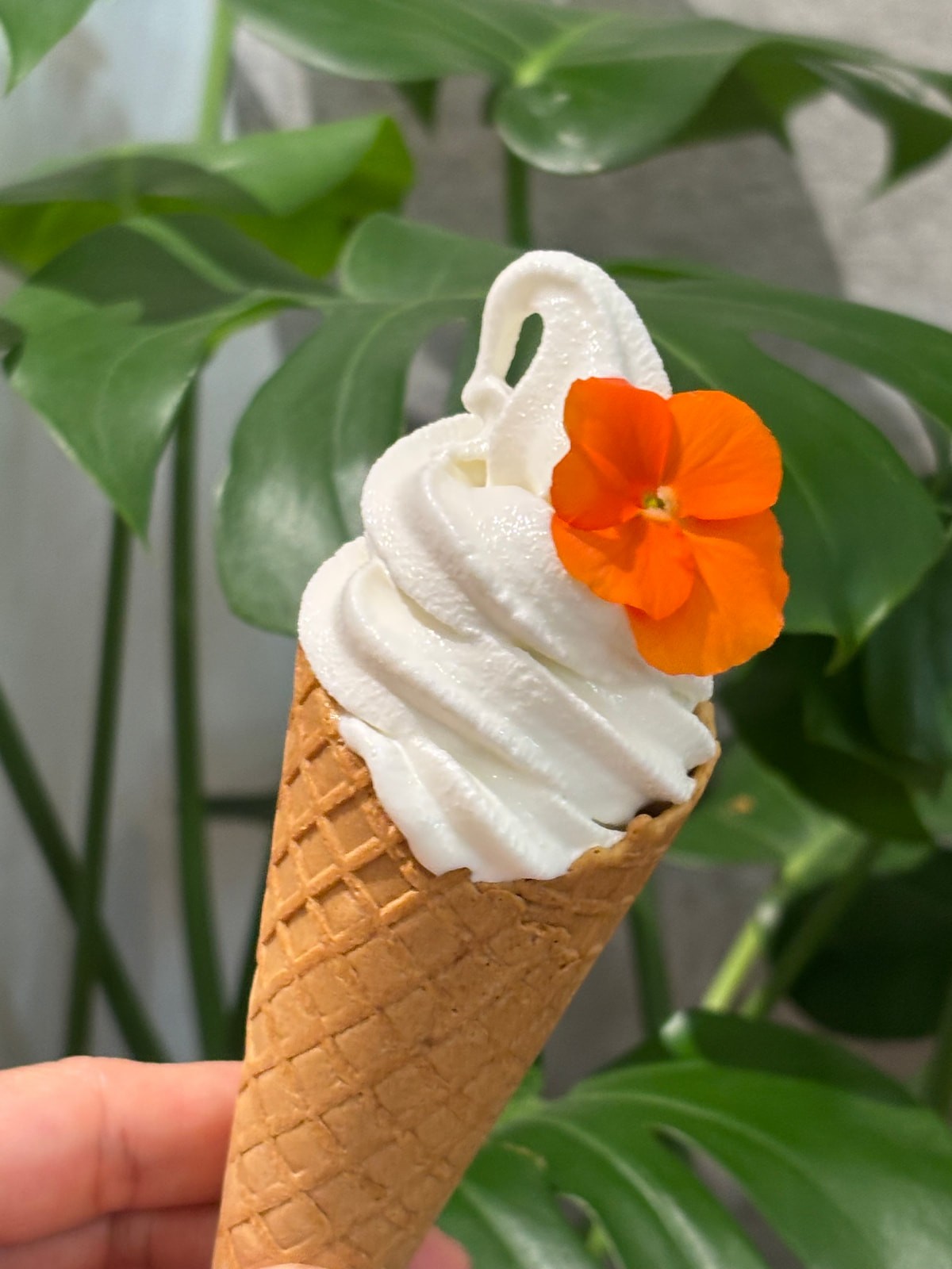 島根県松江市のスイーツ店『Kenasun』の「ソフトクリーム」