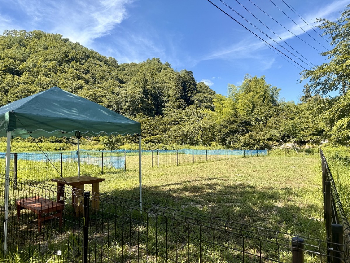 鳥取県日南町のそば店『蕎麦処 今昔』のドッグラン