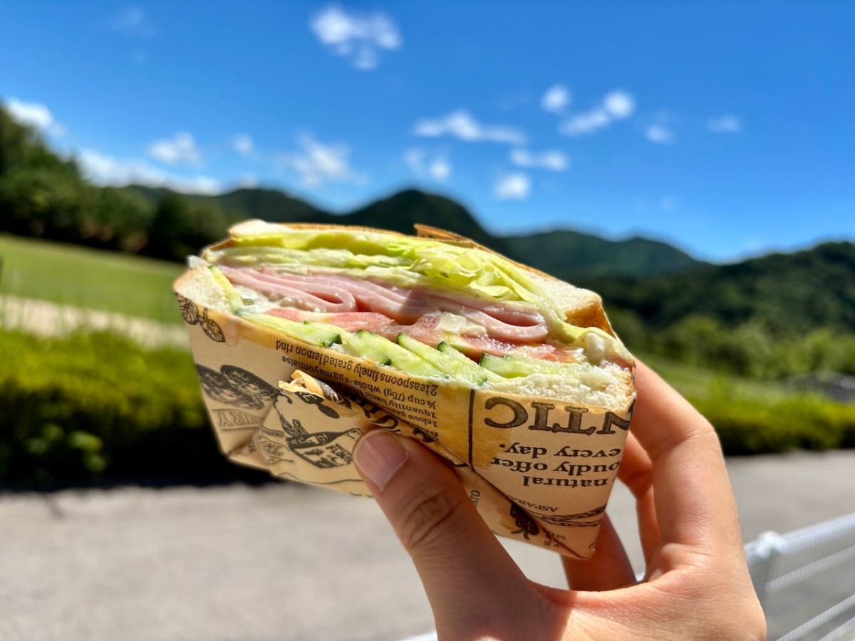 島根県浜田市の「サンドイッチ自販機」の「映えるハムサンド」。