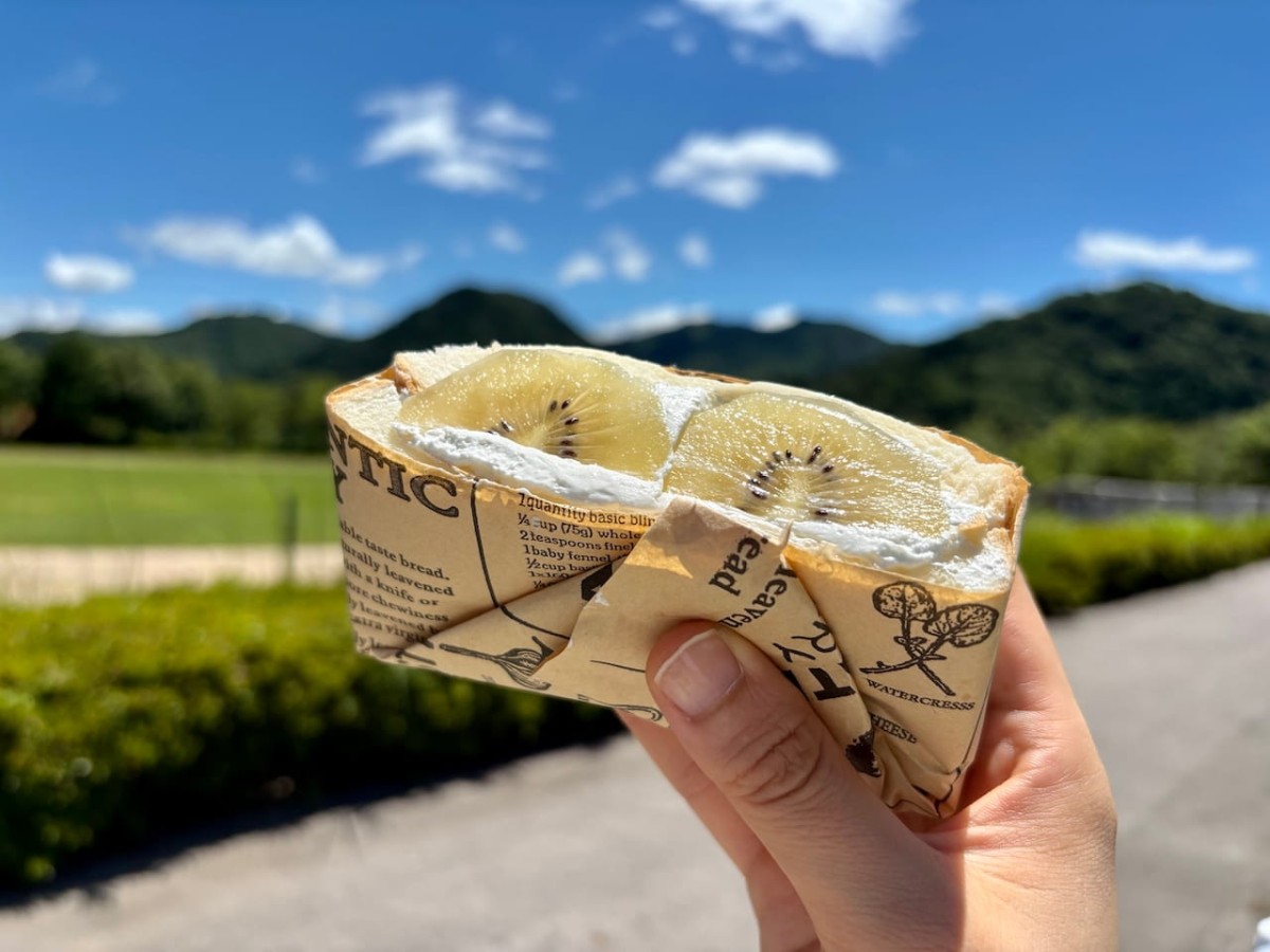 島根県浜田市の「サンドイッチ自販機」の「ゴールドキウイサンド」。