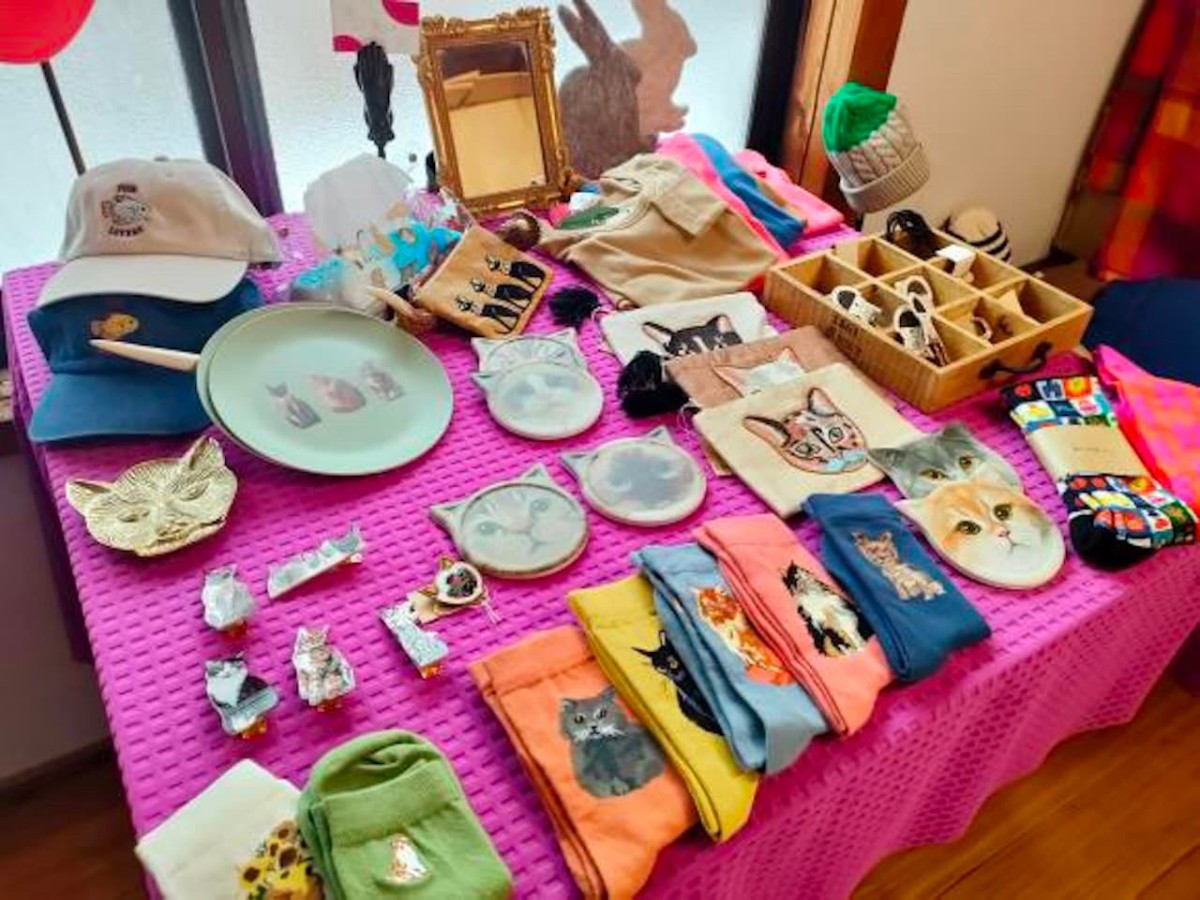 松江市の『and.matsue』で開催される「ねこ展」の去年の様子。